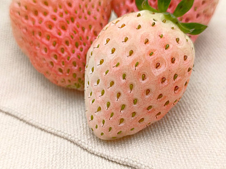 白草莓,草莓
