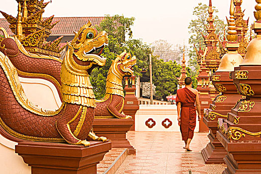 和尚,庙宇,清迈,泰国