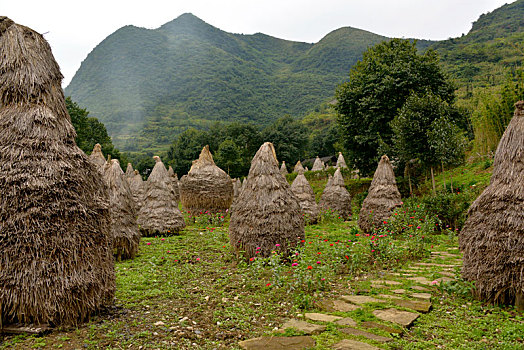 贵州农村危房改造,安居梦,农民住房