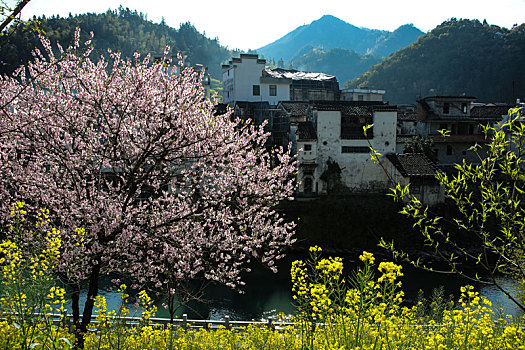 石潭村,安徽,古村落,住宅,建筑,历史,文化,居民,痕迹,村庄,老街