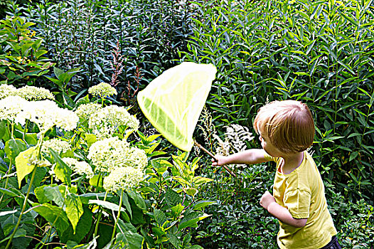 男孩,玩,捕蝶网,花园
