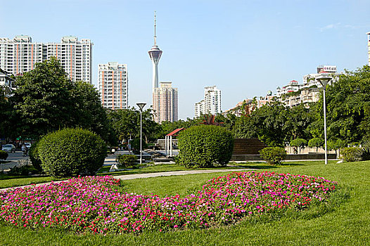 四川成都电视塔城市风景