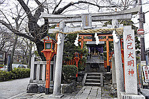 京都,骑自行车,日本