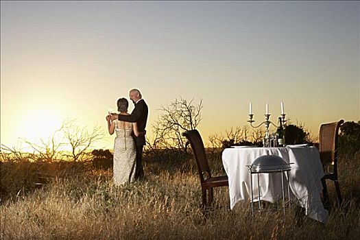 伴侣,就餐,草地,西海角,南非
