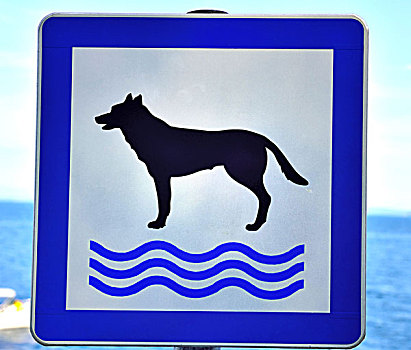 标识,游泳,区域,狗,海湾,伊斯特利亚,克罗地亚,欧洲
