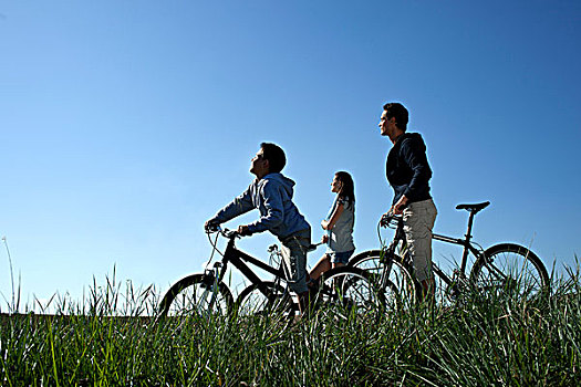家庭,自行车,休息,太阳