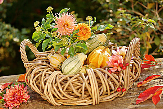 秋天,安放,大丽花,观赏葫芦,篮子,花园桌