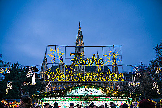 奥地利,维也纳,圣诞市场,市政厅,晚间