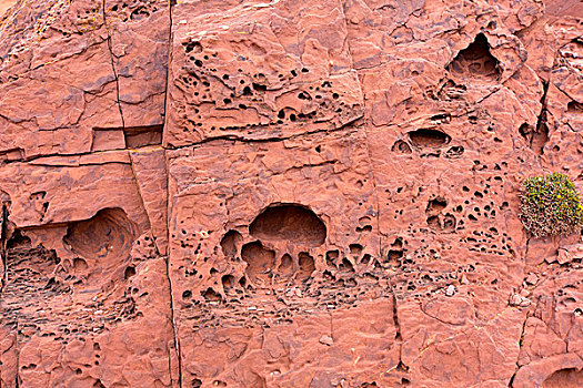 红岩,洞,特写,纹理,米诺卡岛,巴利阿里群岛