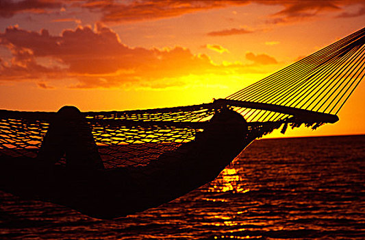 吊床,日落,岛屿,斐济