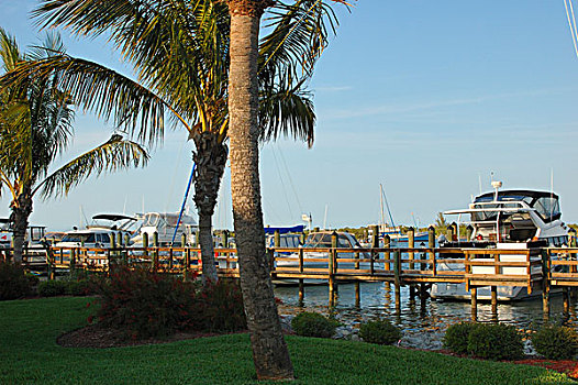 美国,佛罗里达,新士麦那海滩,船,停靠,新,游艇俱乐部