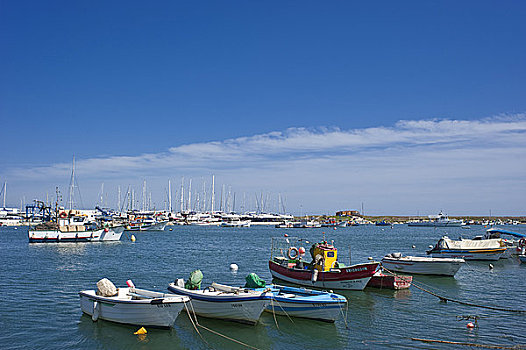 捕鱼,港口,拉各斯,葡萄牙,阿尔加维