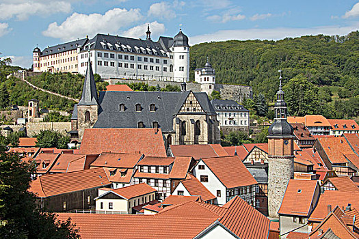 城堡,历史,城镇中心,哈尔茨山,萨克森安哈尔特,德国,欧洲