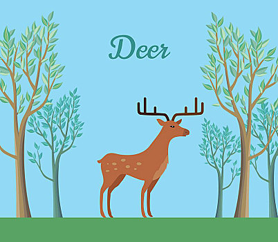 赤鹿,树林,反刍动物,哺乳动物,鹿角,梅花鹿,驯鹿,鹿,苔原,热带雨林,野生动物,概念,食草动物,矢量,插画