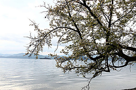 泸沽湖风光