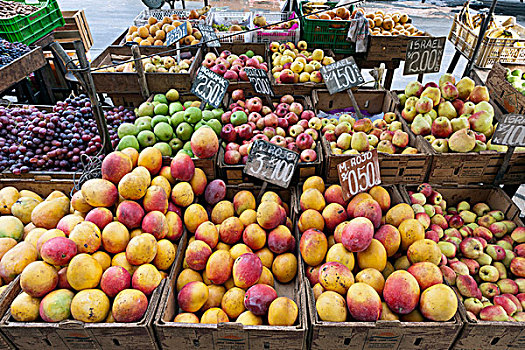 芒果,水果,出售,街边市场,特鲁希略,秘鲁,南美