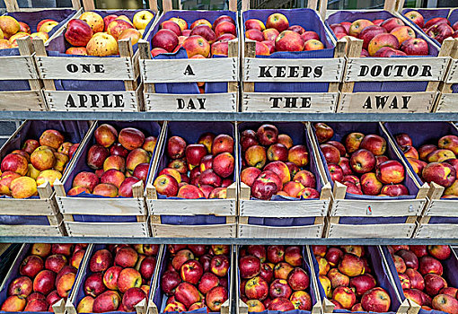 苹果,水果,盒子,文字,一个,白天,市场货摊,爱尔福特,图林根州,德国,欧洲
