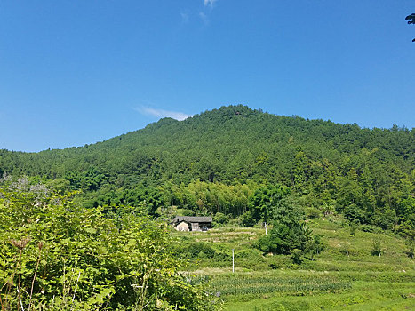 座椅附件