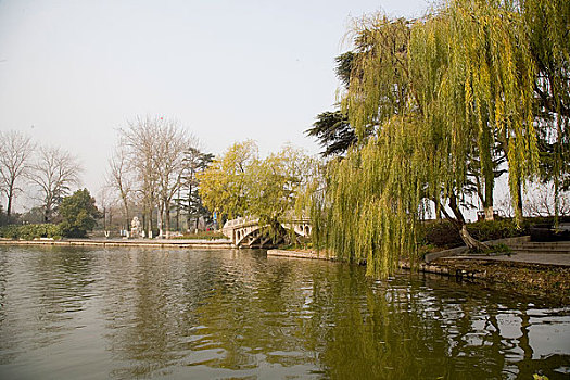 江苏南京公园风光