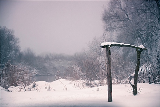 雪,冬天,白俄罗斯,乡村