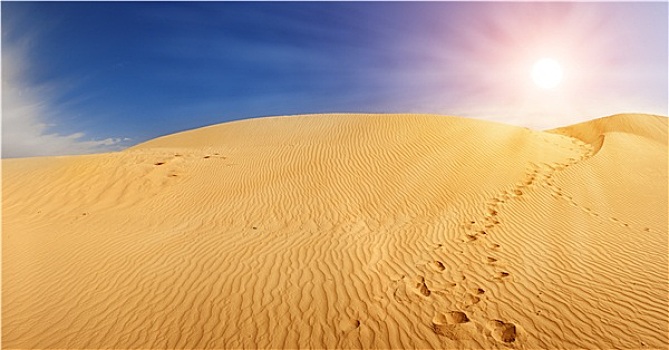 沙丘,撒哈拉沙漠