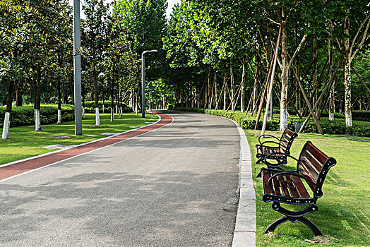 公园里的公路和长凳
