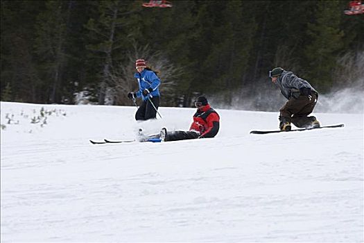 女青年,滑雪,中年,男人,滑雪板,雪橇运动