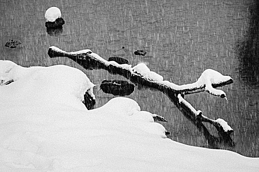 雪景