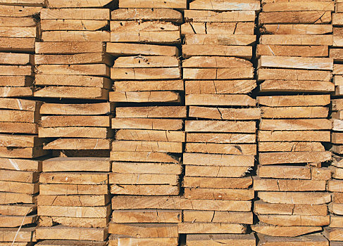 堆放,切削,木材,萨斯喀彻温,加拿大