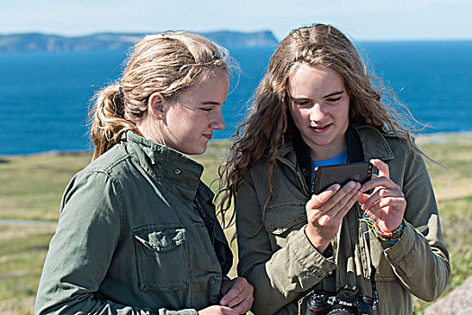 女孩,看,手机,海岸,纽芬兰,拉布拉多犬,加拿大