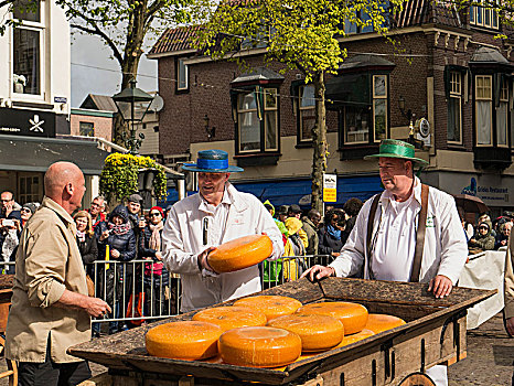销售,奶酪,市场,阿克马镇,省,北荷兰,荷兰