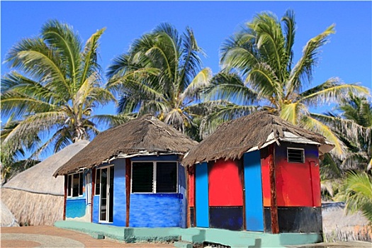 小屋,棕榈屋,彩色,热带,棕榈树