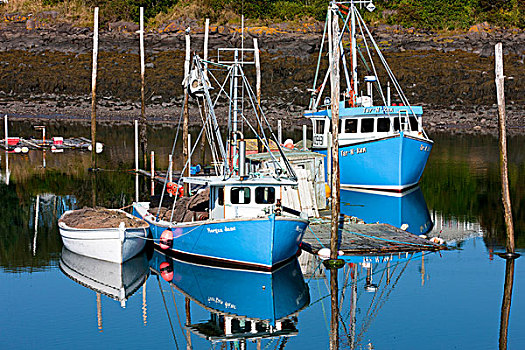 渔船,捆绑,小湾,港口,大马南岛,芬地湾,新布兰斯维克,加拿大