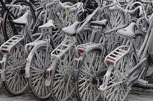 霜冻,自行车,荷兰
