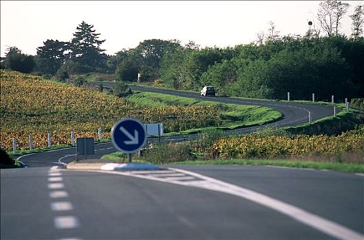 法国,卢瓦尔河地区,曼恩-卢瓦尔省,道路