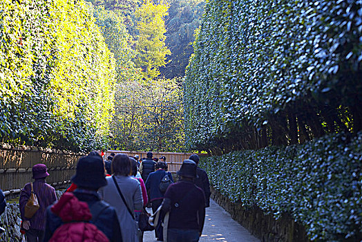 秋天,京都