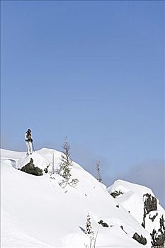 站立,黑梳山,不列颠哥伦比亚省,加拿大