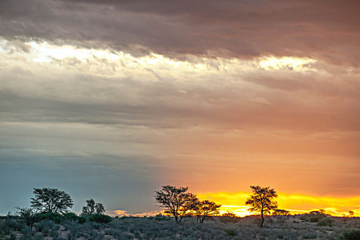 乌云,上方,沙丘,山谷,卡拉哈迪大羚羊国家公园,南非,非洲