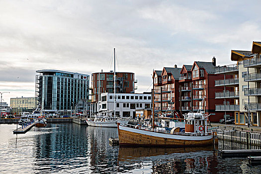 渔船,港口,罗弗敦群岛,挪威,欧洲