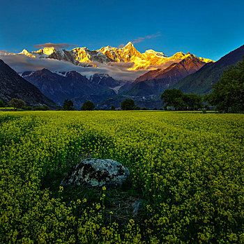 中国最美山峰-南迦巴瓦和油菜花海