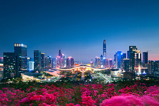 中国广东深圳福田中心区都市夜景