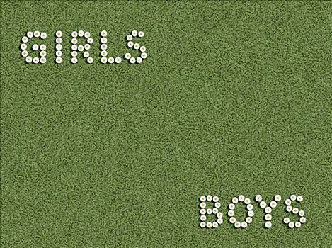 女孩,男孩,书写,花,三叶草,草地