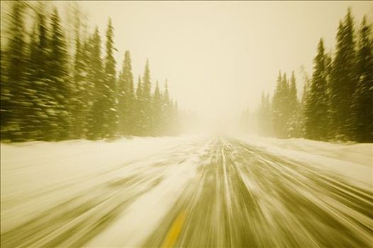 驾驶,风景,汽车,暴风雪,公园,阿拉斯加