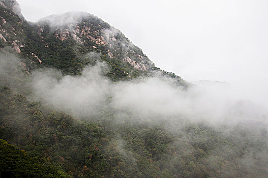 雾气萦绕的山峰
