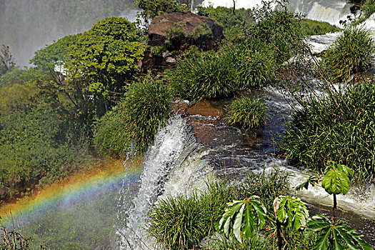阿根廷,伊瓜苏瀑布,彩虹