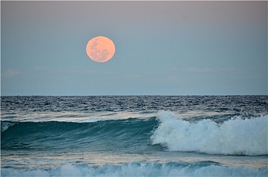 满月,上方,海洋