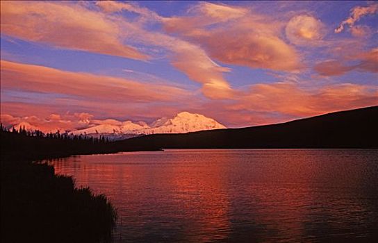 山,麦金利山,旺湖,日落,德纳里峰国家公园,阿拉斯加,夏天