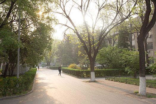 北京大学校内环境和风景