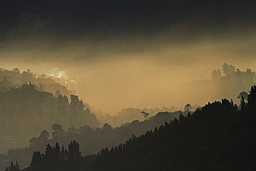 雾气,低,阳光,上方,植物园,山谷,奥塔哥,南岛,新西兰