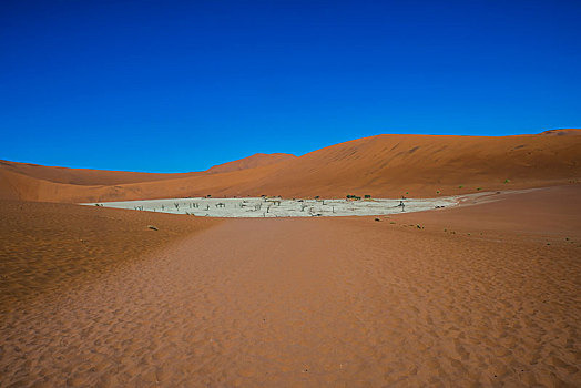 死亡谷,沙丘,索苏维来地区,纳米布沙漠,纳米比诺克陆夫国家公园,区域,纳米比亚,非洲